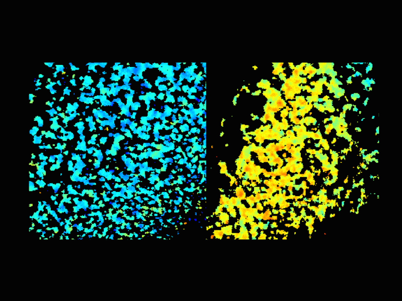 Who else can stop HIV-1 reverse transcriptase?